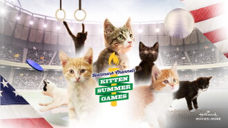 Kitten Summer Games Trailer