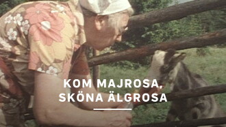 Kom Majrosa, sköna Älgrosa Trailer