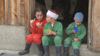 Kühe, Käse und 3 Kinder Trailer