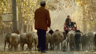 Kunlun Brothers Trailer