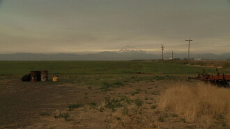 L. Cohen Trailer