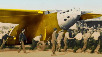 La aventura del pájaro amarillo Trailer