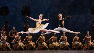 La Bayadère (Royal Ballet) Trailer
