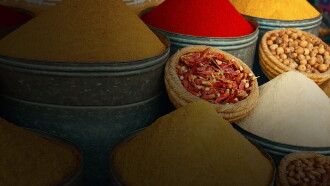La Cuisine marocaine, épicez tout ! Trailer