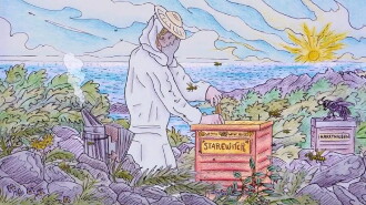 La Forêt Des Abeilles Trailer