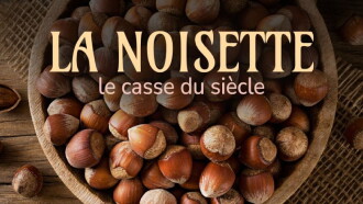 La noisette : le casse du siècle Trailer