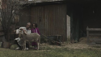 La pecora Trailer