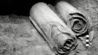 La ricerca dei rotoli del mar morto Trailer