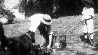 La toilette du petit chien Trailer