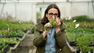 La vérité si je menthe Trailer