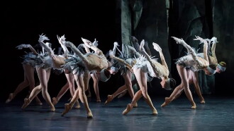 Lac (After Swan Lake) Trailer