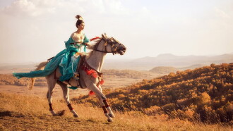 Lady of the Dynasty Trailer
