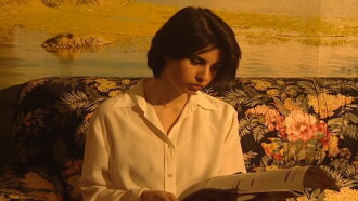 Ladybird Trailer