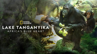 Lake Tanganyika: Africa's Blue Heart Trailer