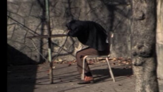 L'albero storpio Trailer