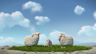 Lambs Trailer