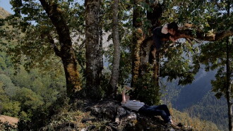 L'Aminte Trailer