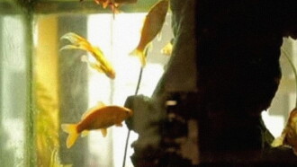 L’Aquarium et la Nation Trailer