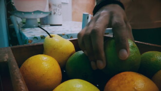 Laranja Orgânica Trailer
