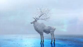 L'Arc~en~Ciel - LIVE 2018 L'ArChristmas Trailer