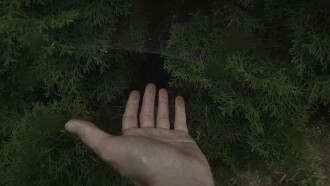 las-líneas-de-mi-mano Trailer