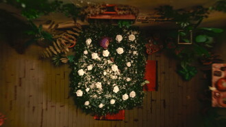 Las plantas también mueren Trailer