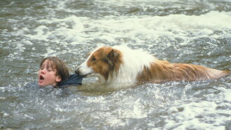 Lassie Trailer