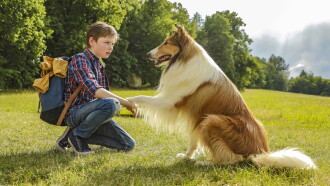 Lassie Come Home Trailer