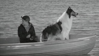 Lassie: Disappearance Trailer