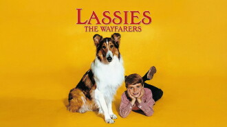 Lassie: The Wayfarers Trailer