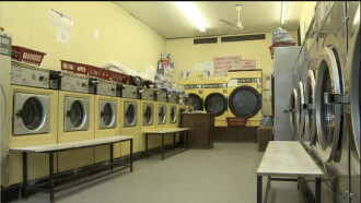 Laundriness Trailer