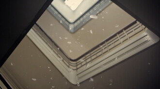Law of Gravity Trailer
