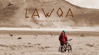 Lawqa Trailer