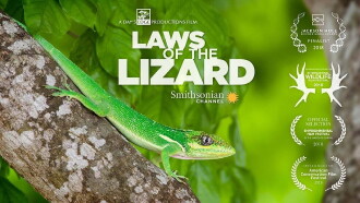 Laws of the Lizard Trailer