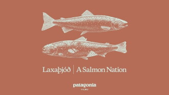 Laxaþjóð - A Salmon Nation Trailer