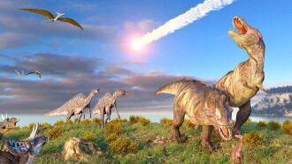 Le Big Bang Des Dinosaures Trailer