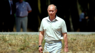Le blé, l'autre arme de Poutine Trailer