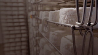 Le camembert nous ouvre sa boîte Trailer