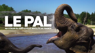 Le Pal : au coeur du zoo le plus insolite de France Trailer