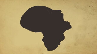 Le point de vue du lion Trailer
