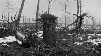 Le rouge et le gris, Ernst Jünger dans la grande guerre Trailer