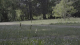 Le Zen Trailer