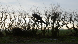 Leaning Into the Wind: Andy Goldsworthy Trailer