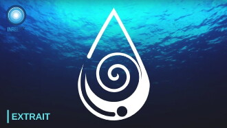 L'eau, miroir de la conscience Trailer