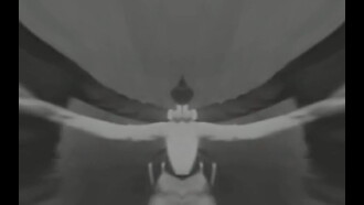 Leda + Swans Trailer