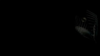 Leftfield: A Final Hit Trailer
