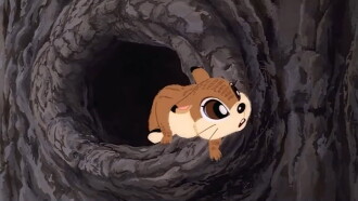 Legend of the Forest Trailer