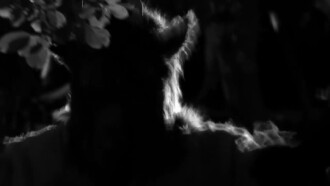 Legend of the Goatman: Horrifying Monsters, Cryptids and Ghosts Trailer