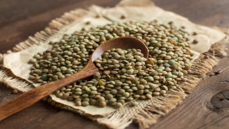 Lentils: A Miracle Of Nutrition Trailer