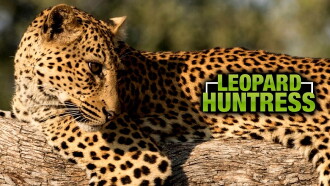 Leopard Huntress Trailer